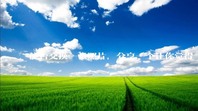 能否交换一张照片，分享一个让你觉得「仿佛回到了暑***」的瞬间？