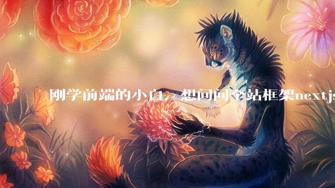 刚学前端的小白，想问问全站框架nextjs+shadcn+prisma为什么在国内不火呢？