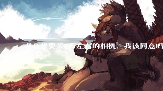 老公想要买2万左右的相机，我该同意吗？