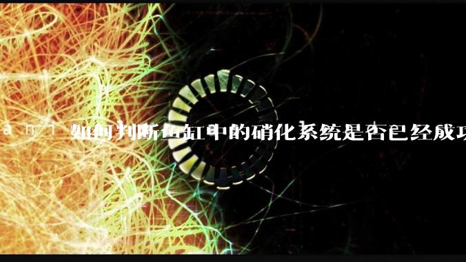 如何判断鱼缸中的硝化系统是否已经成功建立？