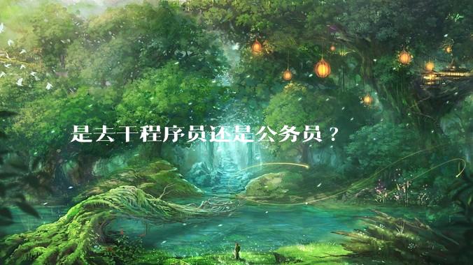 是去干程序员还是公务员?