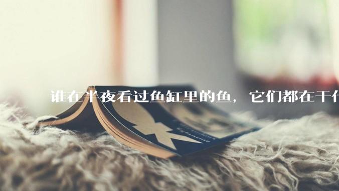 谁在半夜看过鱼缸里的鱼，它们都在干什么？
