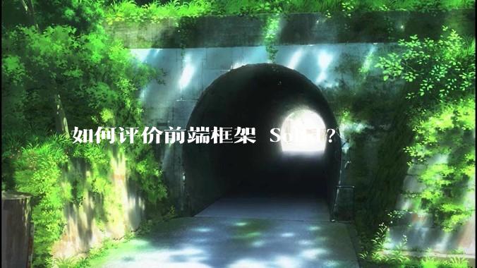 如何评价前端框架 Solid?