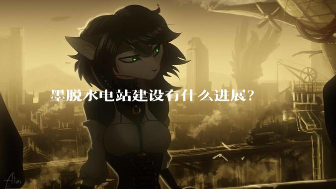 墨脱水电站建设有什么进展？
