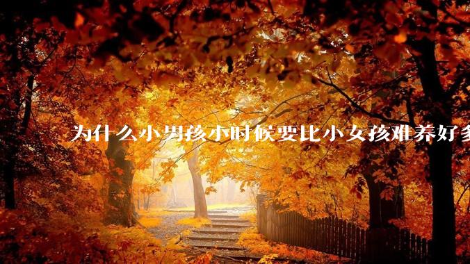 为什么小男孩小时候要比小女孩难养好多?
