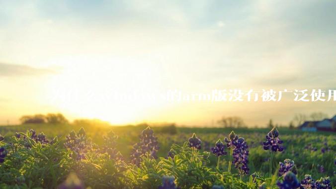 为什么windows的arm版没有被广泛使用？