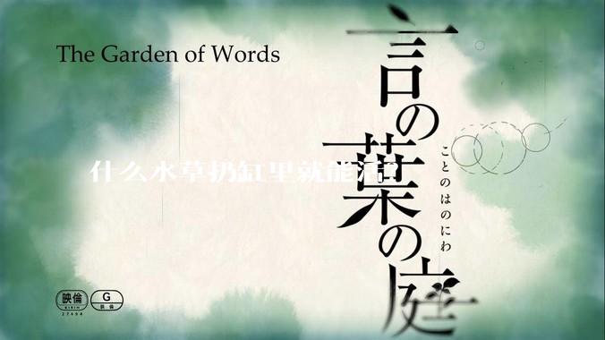什么水草扔缸里就能活？