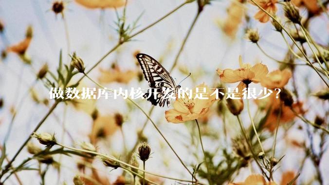 做数据库内核开发的是不是很少？